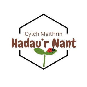 Cylch Meithrin Hadau'r Nant Wootzoo logo