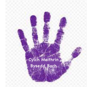Cylch Meithrin Bysedd Bach Wootzoo logo