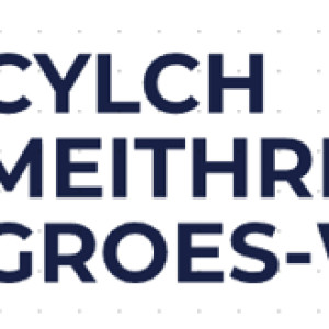 Cylch Meithrin Groes-Wen Wootzoo logo