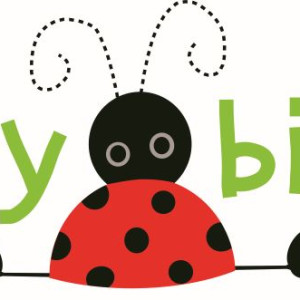 Ladybirds Day Nursery Wootzoo logo